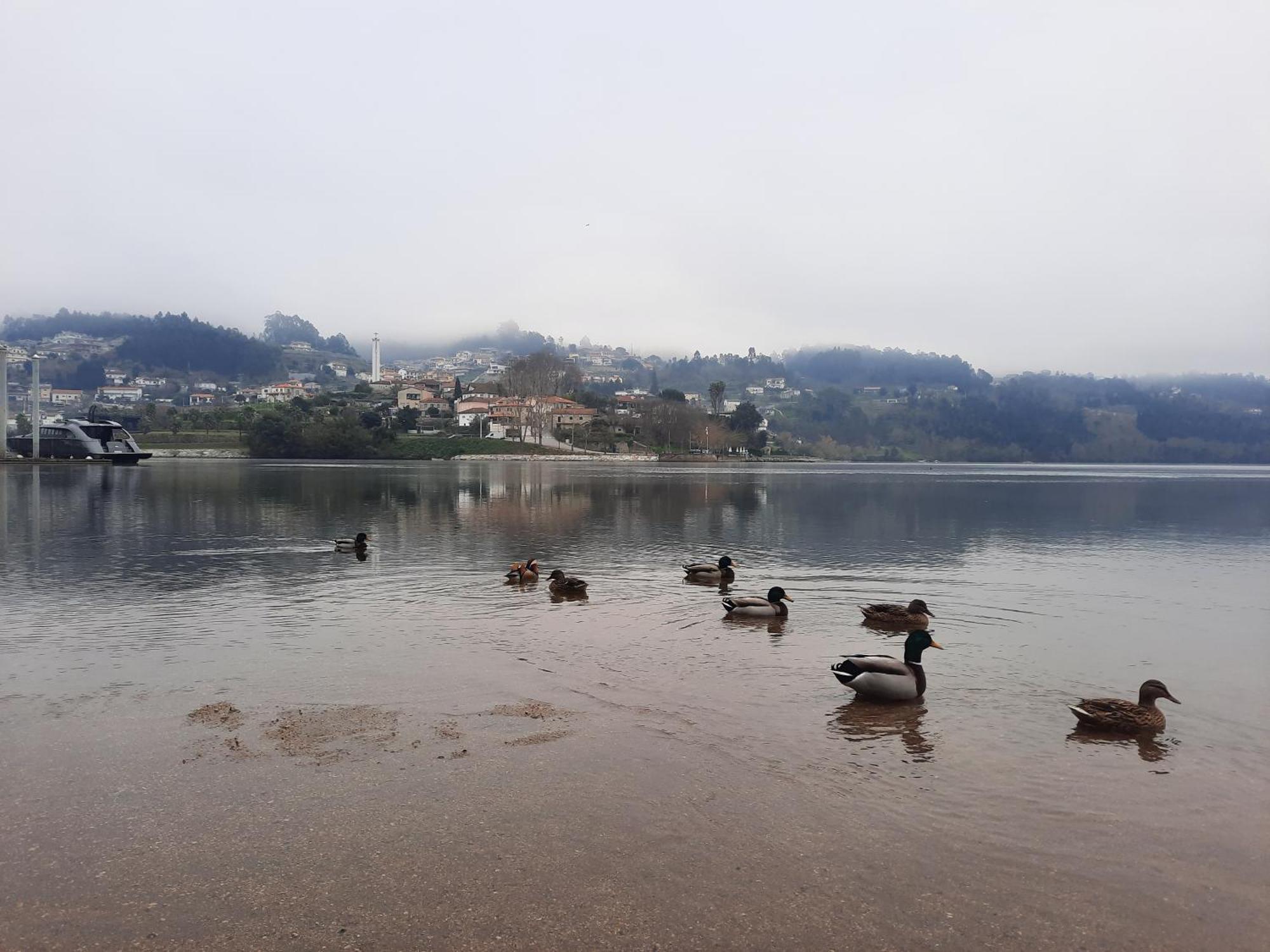 Apartmán Burguesinha Al Entre-Os-Rios Exteriér fotografie