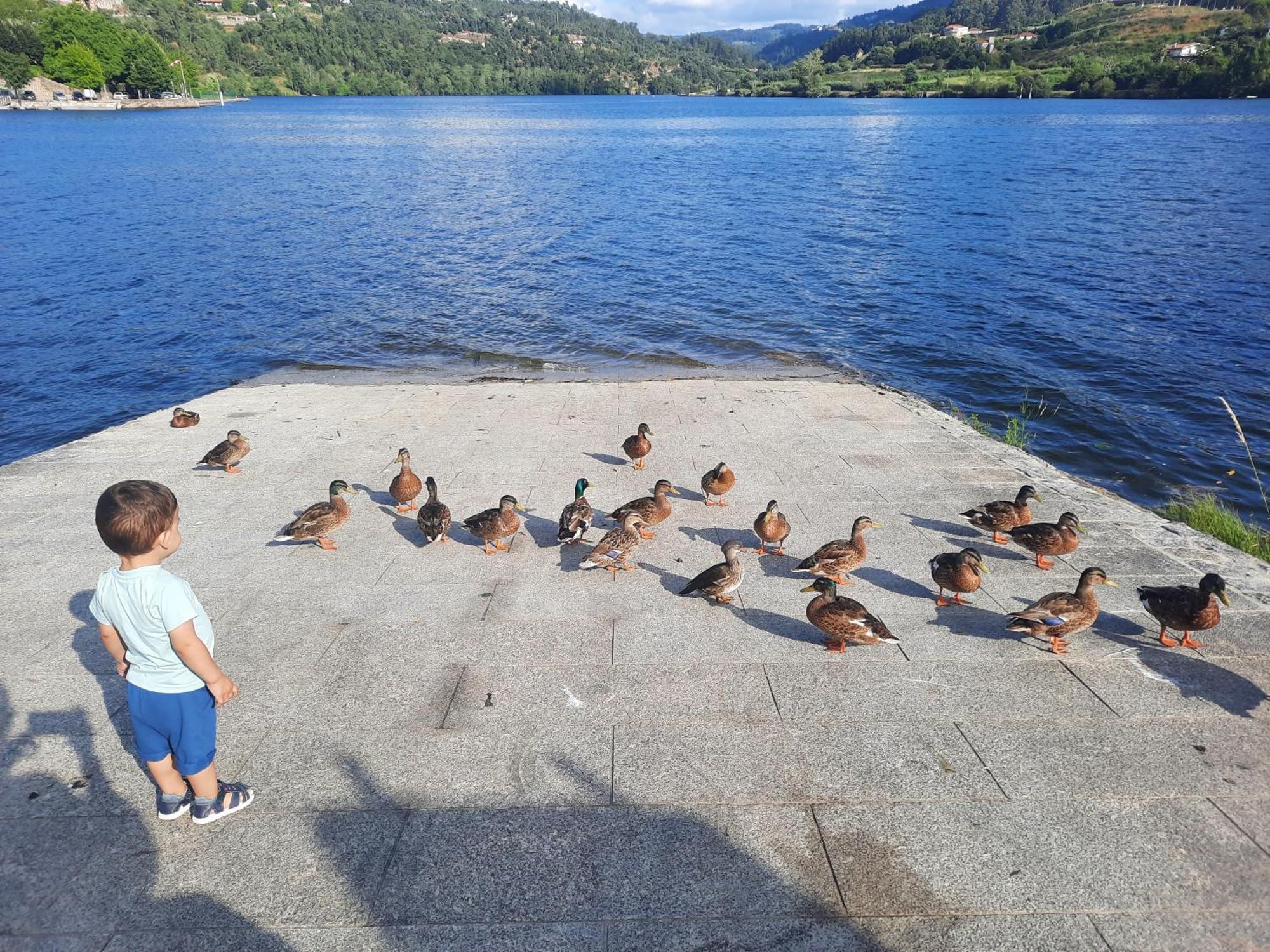 Apartmán Burguesinha Al Entre-Os-Rios Exteriér fotografie